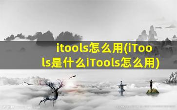 itools怎么用(iTools是什么iTools怎么用)