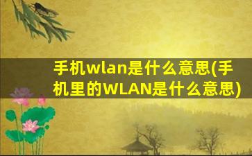 手机wlan是什么意思(手机里的WLAN是什么意思)
